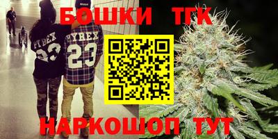 гашик Лесосибирск
