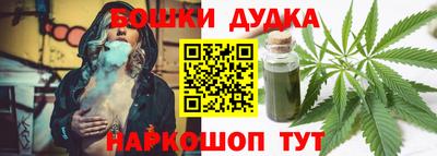 гашик Лесосибирск