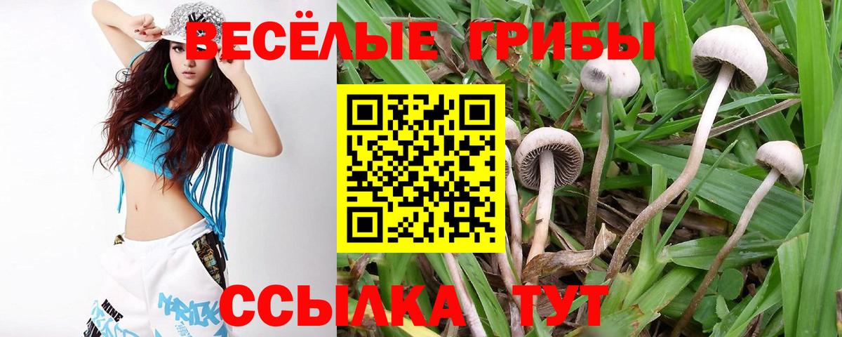 Югорск  Псилоцибиновые грибы Cubensis  Вход с VPN  купить  цена  Псилоцибиновые грибы Psilocybine cubensis 