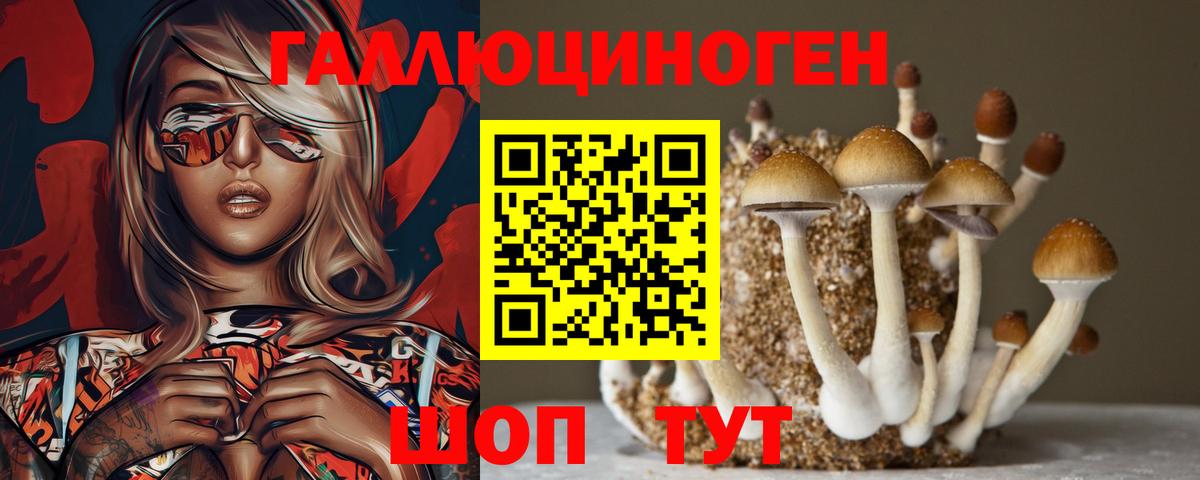 Псилоцибиновые грибы прущие грибы Югорск